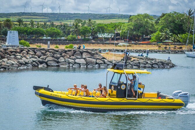 1.5-Hour Guided Whale Watching Tour - Crew Style, Safety Moves, and the Captain’s Chairs Factor