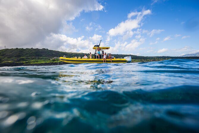 1.5-Hour Guided Whale Watching Tour - Comfort Tradeoffs: Fast, Windy, and Not Built for Everyone’s Back