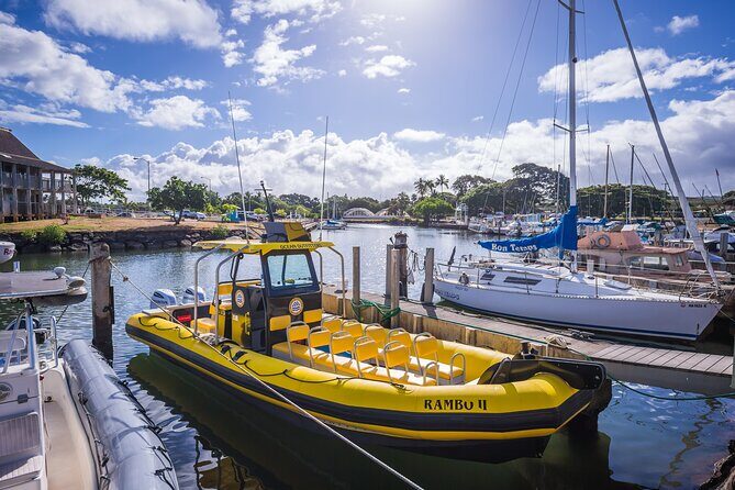 1.5-Hour Guided Whale Watching Tour - Price and Value: Is $99 Worth It for 1.5 Hours?