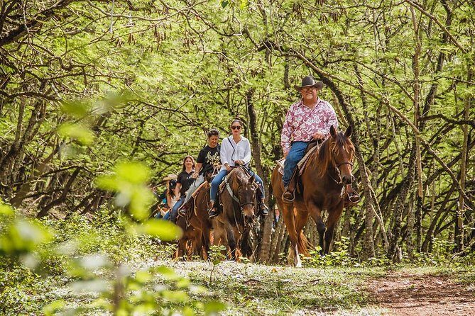1 Hour Scenic Horseback Ride - Key Things To Know Before You Saddle Up