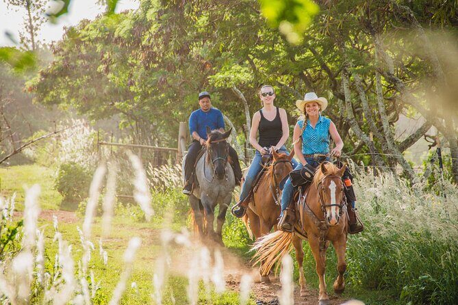 1 Hour Scenic Horseback Ride - Group size, pace, and why it matters for your comfort