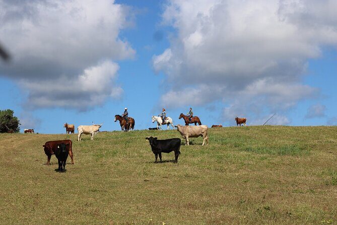 1 Hour Scenic Horseback Ride - Price and value: is $134 per person worth it?