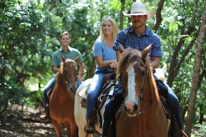 1 Hour Scenic Horseback Ride - Ocean views and the Hidden Cave moment