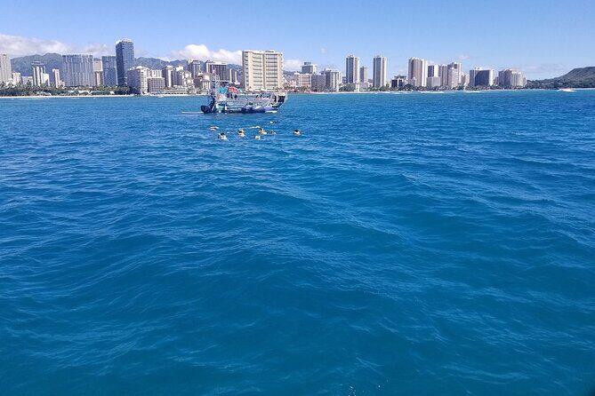 12pm Turtle Canyon Snorkel Adventure - Who Should Book This (And Who Might Want a Different Time Slot)