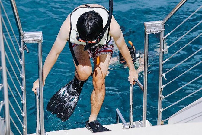 12pm Turtle Canyon Snorkel Adventure - Snorkeling at Turtle Canyon: How You Actually See Turtles