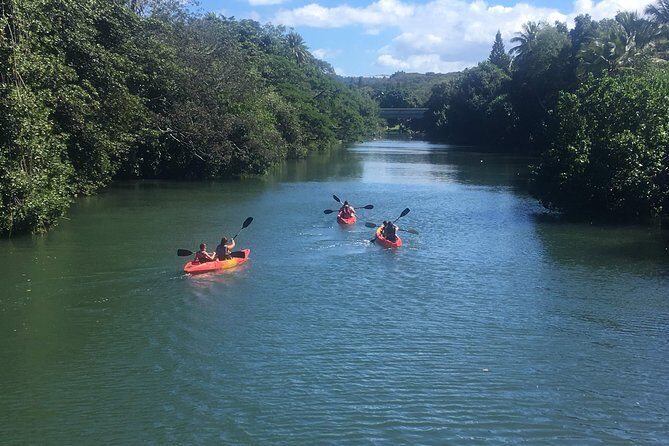 2-hour tandem kayak rental - Haleiwa Bay Views Without the White-Knuckle Stress