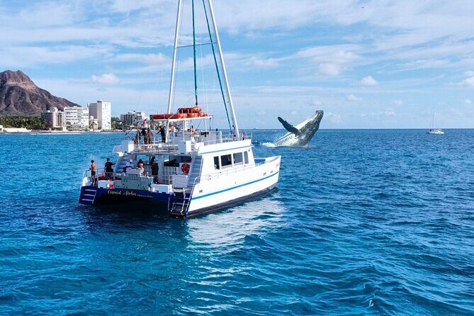 2 Hour Waikiki Whale Watching Cruise from Oahu - Key things I’d zero in on before you book
