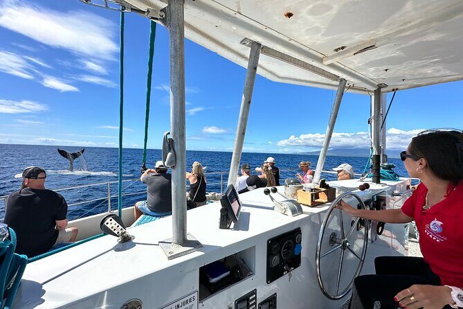 2 Hour Waikiki Whale Watching Cruise from Oahu - Why this Waikiki whale cruise feels worth $40 (plus the fuel fee)