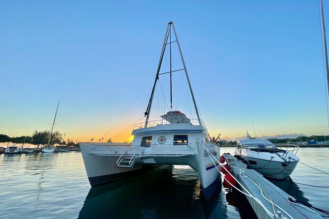 2 Hour Waikiki Whale Watching Cruise from Oahu - The whale promise: what “guaranteed” really means for your day