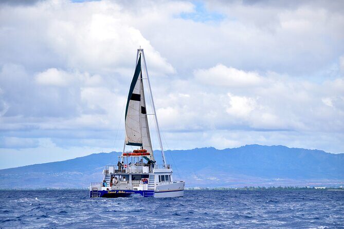 2 Hour Waikiki Whale Watching Cruise from Oahu - Diamond Head to Ala Moana: how each stop helps you enjoy the cruise