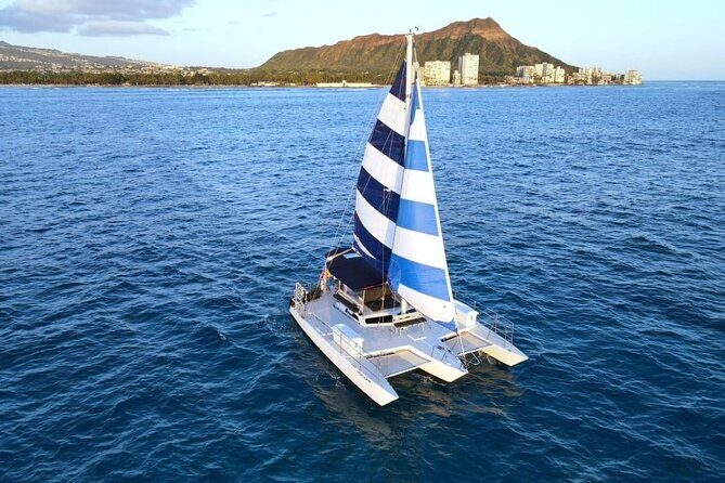2 Hour Waikiki Whale Watching in Honolulu - Why this 2-hour Waikiki whale watch works