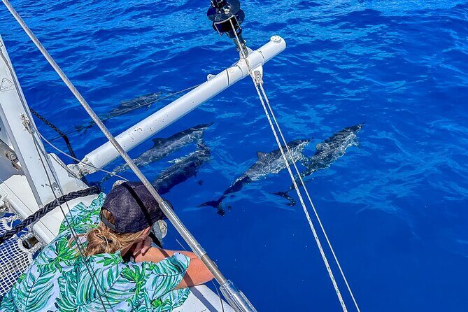 2hr Luxury Private Sailing Catamaran in Waikiki for 1-6 People - Wildlife and Friday night fireworks: when nature and timing line up