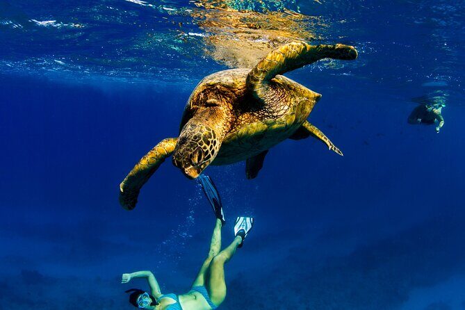 2hr Luxury Private Sailing Catamaran in Waikiki for 1-6 People - Food, drink, and music: planning your perfect 2 hours