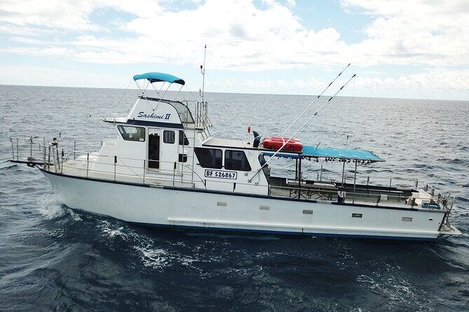 3-Hour Honolulu Bottom Fishing Adventure - Shared Honolulu Bottom Fishing: The Real-World Value of 3 Hours