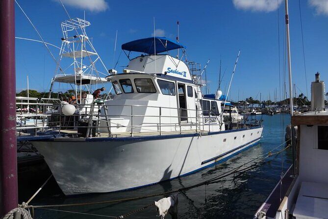 3-Hour Honolulu Bottom Fishing Adventure - Waikīkī as Your Backdrop: Views, Weather, and Wildlife Moments