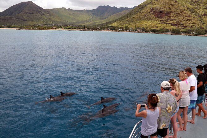 3 Zipline Adventure and 3.5 hour Afternoon Snorkel Cruise - Key things to know before you go