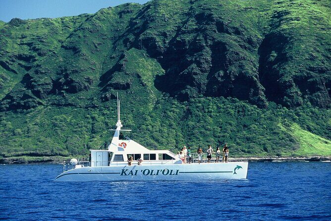 3 Zipline Adventure and 3.5 hour Afternoon Snorkel Cruise - Small-Group Energy: Why Max 11 Travelers Matters