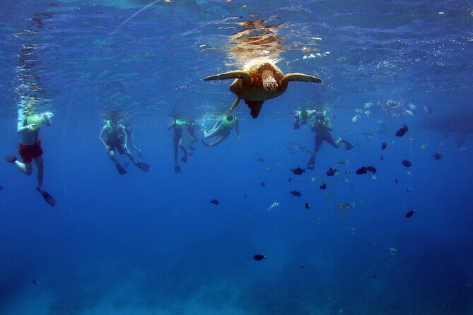 3 Zipline Adventure and 3.5 hour Afternoon Snorkel Cruise - Price and Value: Is $232.89 Worth It?