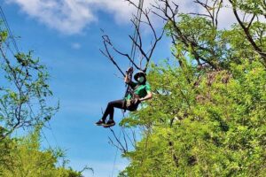 3 Zipline Adventure at Coral Crater with Optional Waikiki Shuttle - Price and logistics: $109, small-group timing, and pickup reality