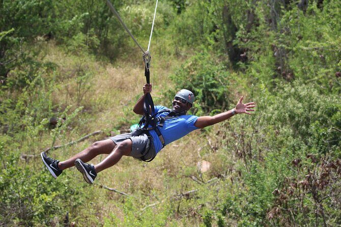 3 Zipline Adventure at Coral Crater with Optional Waikiki Shuttle - What you see: Oahu flora, fauna, and the small outdoor details
