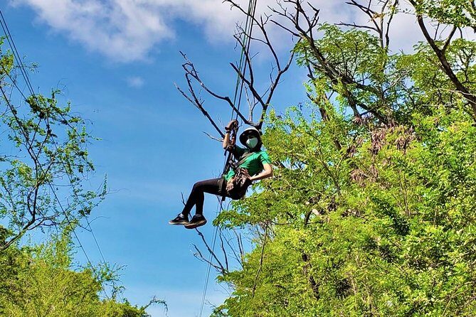 3 Zipline Adventure at Coral Crater with Optional Waikiki Shuttle - Price and logistics: $109, small-group timing, and pickup reality