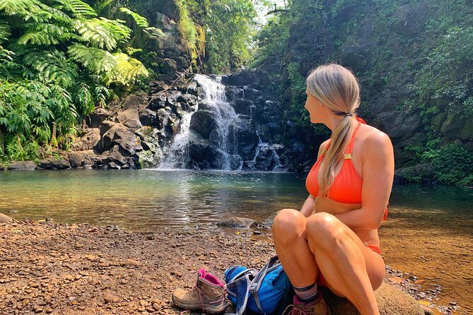 4 Hour Half Day Island Jeep Tour - Waikiki pickup rules (this can make or break your plan)