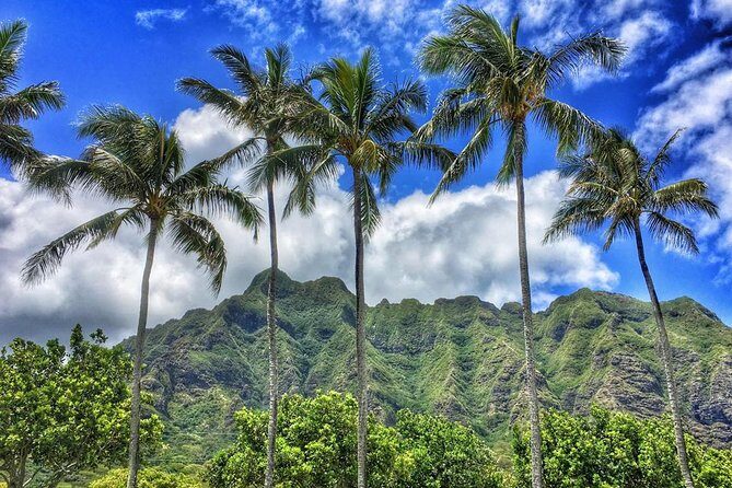 4 Hour Half Day Island Jeep Tour - Who this jeep tour fits best (and who should look elsewhere)
