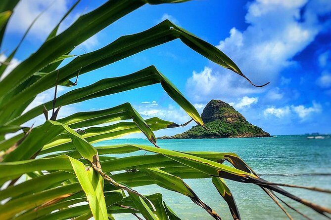 8 Hour Circle Island Jeep Tour - Portlock’s sea caves to Koko Crater arches: the day’s first wow factors