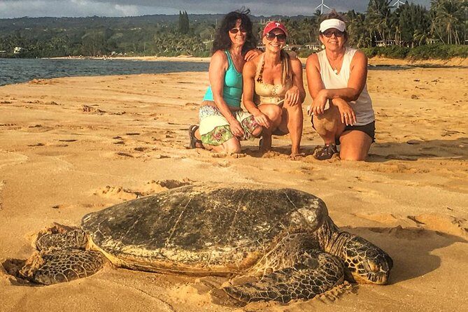 8 Hour Circle Island Jeep Tour - Price and logistics: is $275 worth a full-day safari?