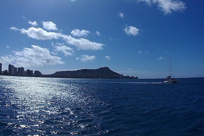 9am Turtle Canyon Snorkel Adventure - Who this tour suits best (and who should rethink)