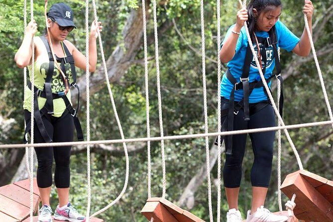 Adventure Course Extreme Including Climbing Wall & Rappel - Adventure Tower Extreme on Oahu: What You’re Really Signing Up For