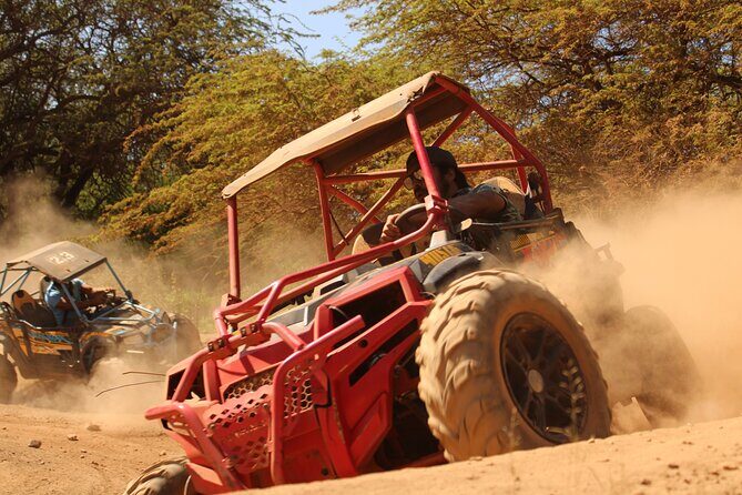 ATV Off Road Adventure - Key Things That Make This ATV Tour Work