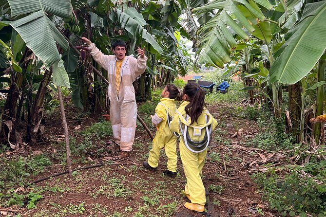 Bee Farm Ecotour and Honey Tasting in Waialua, North Shore Oahu - The 9:00 am Meeting and the Suit-Up Moment