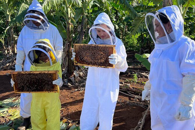 Bee Farm Ecotour and Honey Tasting in Waialua, North Shore Oahu - Weather, Allergies, and Who Should Skip It