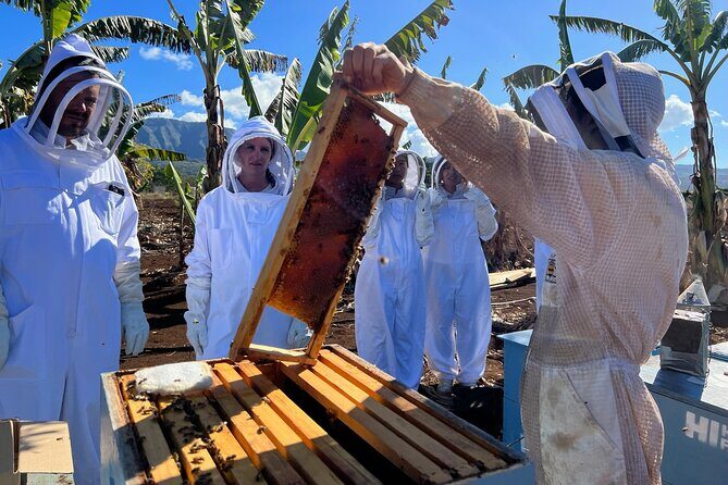 Bee Farm Ecotour and Honey Tasting in Waialua, North Shore Oahu - Should You Book This Bee Farm Ecotour and Honey Tasting?