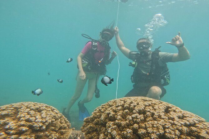 Beginner Scuba Diving Experience with Video Package in Honolulu - Video Package: Your First Underwater Footage, Included