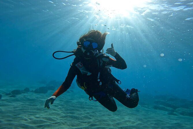 Beginner Scuba Diving Experience with Video Package in Honolulu - Who Should Book This (and Who Might Want a Different Option)