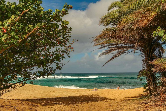 Best of Oahu: Pearl Harbor & Oahu Circle Island Tour from Waikiki - Downtown Honolulu drive-through: Kamehameha and Iolani context