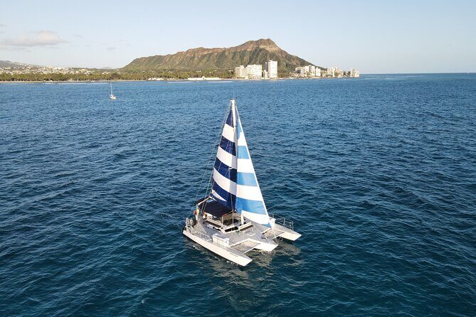 Best Waikiki Snorkel Tour: Guaranteed Turtles at Turtle Canyon - When choppy water matters more than turtle luck