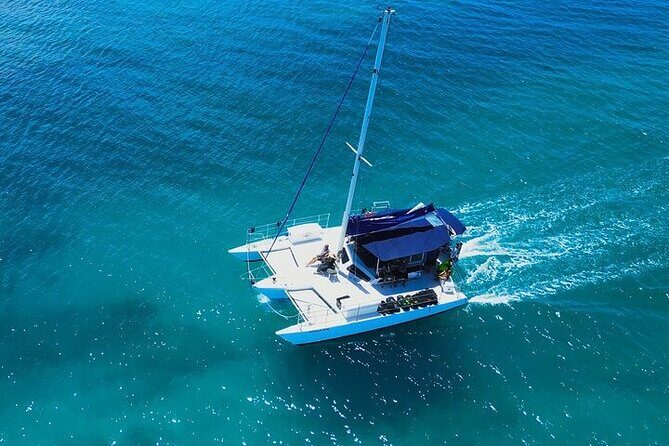 Best Waikiki Whale Watching in Honolulu: Whales Guaranteed - BYOB on Board: How to Pack for Comfort and Easy Photos