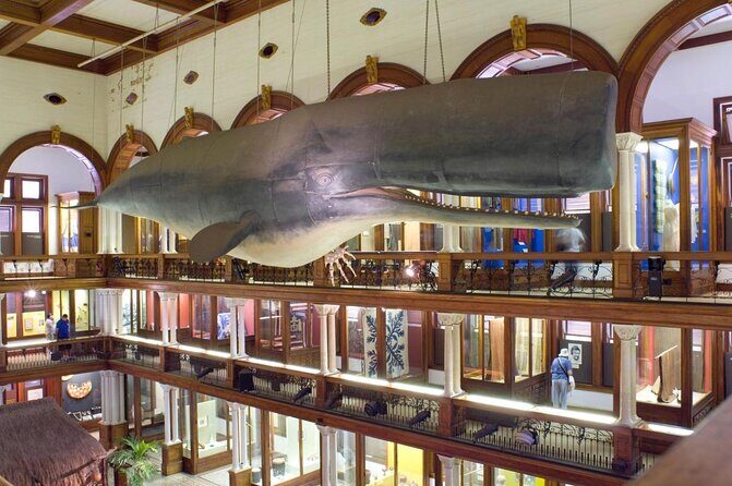 Bishop Museum General Admission Ticket - Key highlights you should clock early