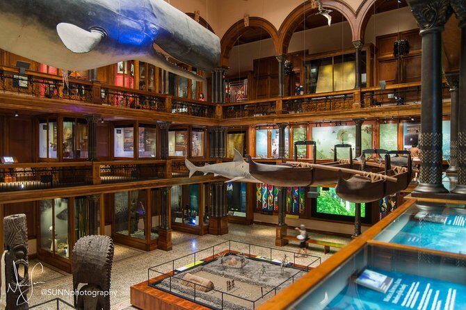 Bishop Museum General Admission Ticket - Richard T. Mamiya Science Adventure Center and the lava melting show