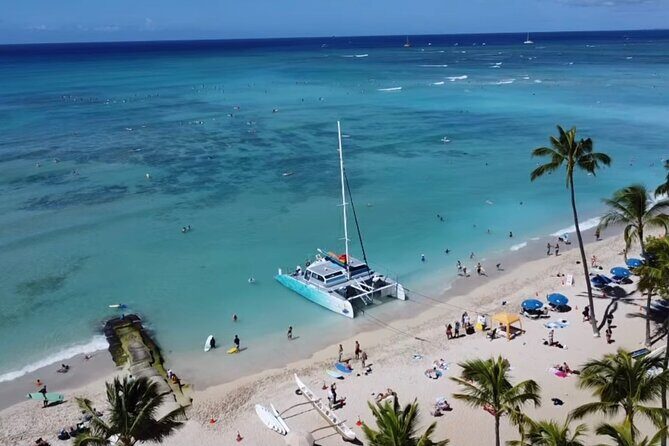 Board from Waikiki Beach for Aloha Hour Sail on Hāwea Catamaran - Wildlife Spotting Chances: Dolphins, Whales, and Turtles