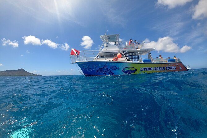 BYOB Sunset Cruise off the Waikiki Coast - BYOB Done Right: Cooler, Ice, and the No-Glass Rule