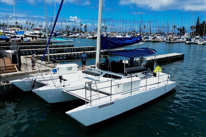 BYOB Waikiki Sunset Swim and Diamond Head Sailing - Weather and Winds: The Part You Can’t Ignore in Waikiki