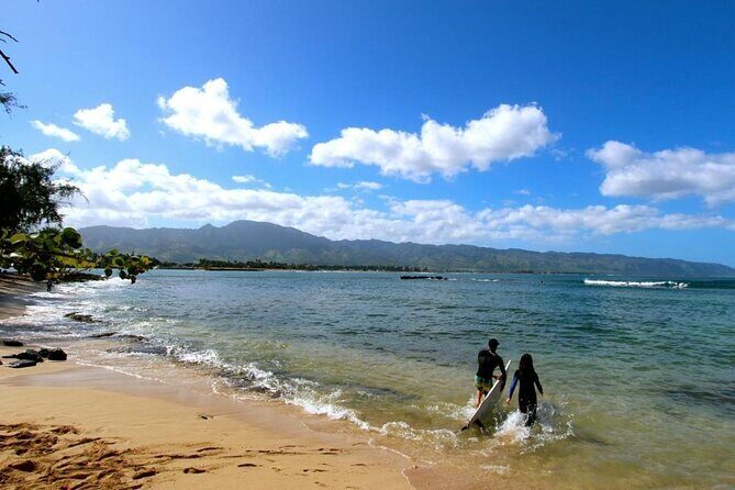 Cage-Free Shark Swim from Oahu - What Cage-Free Really Means in Haleiwa