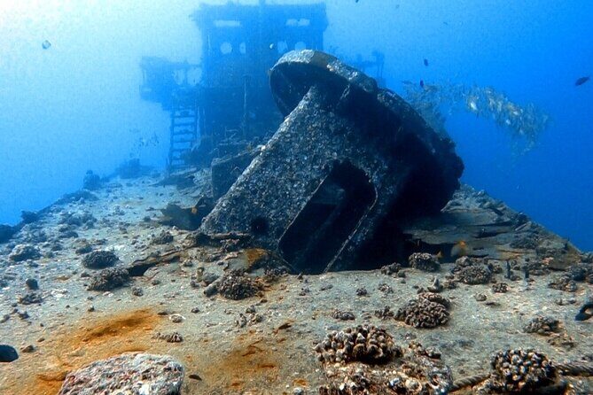 Certified Diver: 2-Tank Deep Wreck and Shallow Reef Dive Off Oahu - Your two-stop plan: wreck thrills first, then a calm reef session