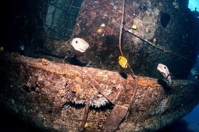 Certified Diver: 2-Tank Deep Wreck and Shallow Reef Dive Off Oahu - Gear rental, add-ons, and how to choose upgrades