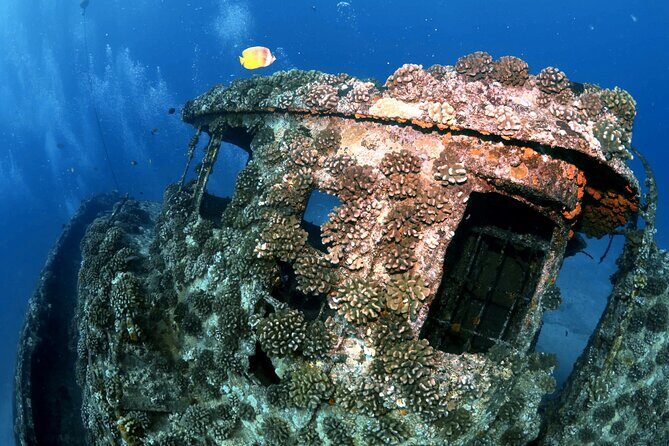 Certified Diver: 2-Tank Deep Wreck and Shallow Reef Dive Off Oahu - Should you book this Oahu 2-tank wreck-and-reef outing?