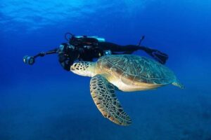Certified Diver: 2-Tank Shallow Reef Dives off Oahu - Crew and safety: the boat team behind the good water time